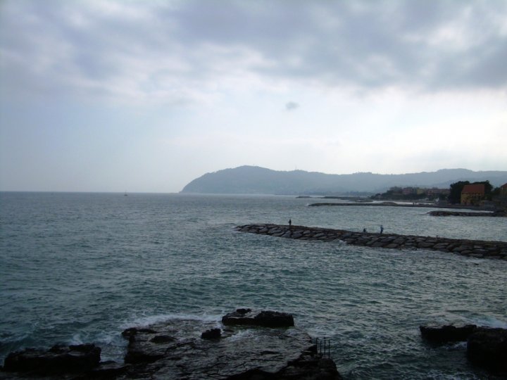 Cervo Ligure di MV