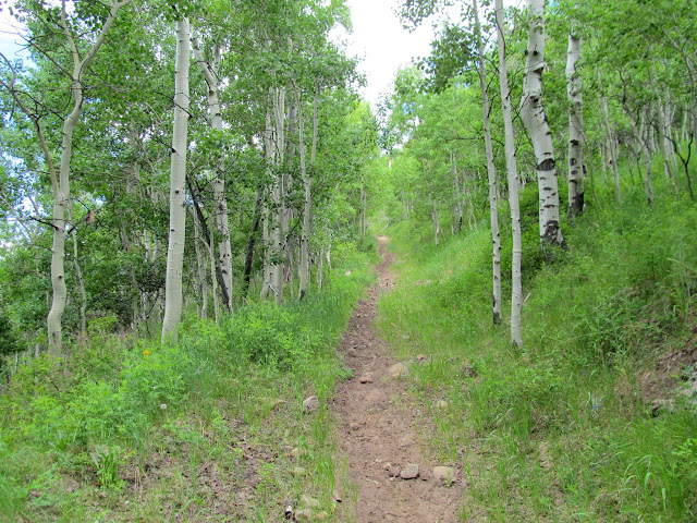 Pretty steep for such an old road