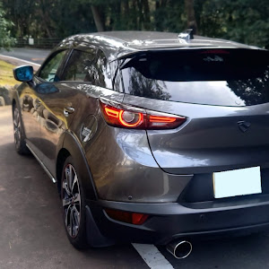 CX-3 DKEFW