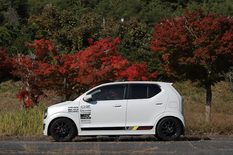 アルトワークスの紅葉・紅葉と愛車・吉備高原・いいね、コメント、フォローありがとうございます。・11月も宜しくお願いしますに関するカスタム事例の投稿画像7枚目