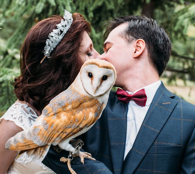 Fotografo di matrimoni Alena Shageeva (alenashageeva). Foto del 10 giugno 2019