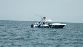 Catching Snook, Permit and more in the Florida Bay thumbnail