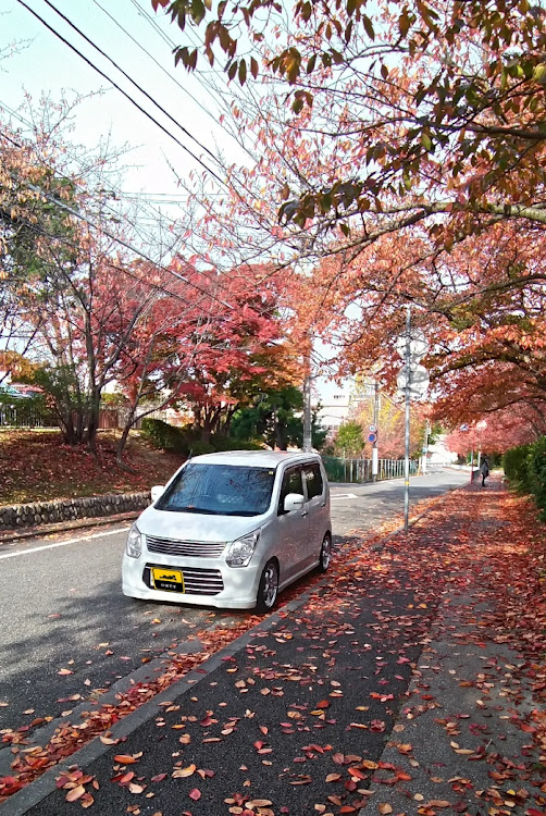 ワゴンRの無加工スマホ撮り・いつものように笑って流せ・ぶっちゃけ自宅のまわりに関するカスタム事例の投稿画像1枚目