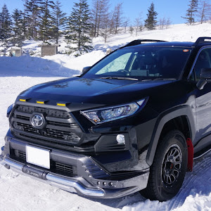 RAV4 MXAA54