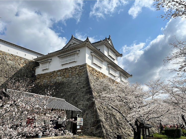 スカイラインのドライブ・津山城・桜🌸・サクラを求めて・瀬戸大橋に関するカスタム事例の投稿画像5枚目