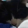 ユーザー