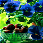Cover Image of Unduh Blue Flowers Butterfly LWP 3 APK