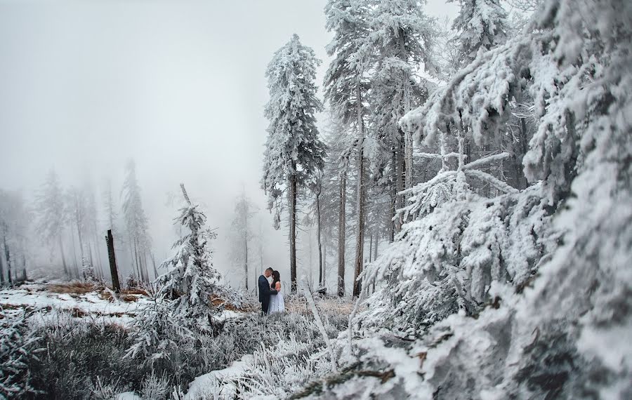 Kāzu fotogrāfs Karolina Grzegorzek (karolinagrzegor). Fotogrāfija: 13. februāris 2018