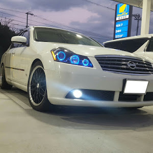 フーガ Y50