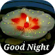 Download Good Night Images Gif For PC Windows and Mac 3.6