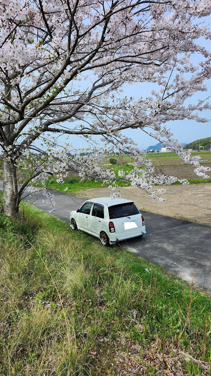 の投稿画像1枚目