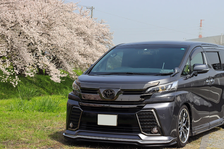 ヴェルファイアの桜と愛車・桜とコラボ・日本の心・道草・移動中に見つけた桜に関するカスタム事例の投稿画像3枚目