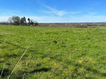 terrain à Thiviers (24)