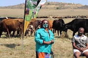 Former rural development and agrarian reform MEC Nomakhosazana Meth during her visit to Mantusini Dairy Trust Farm in rural Port Saint John’s where she donated 160 tons of feed and promised to bring an investor to help the farm. 