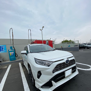 RAV4 AXAH54