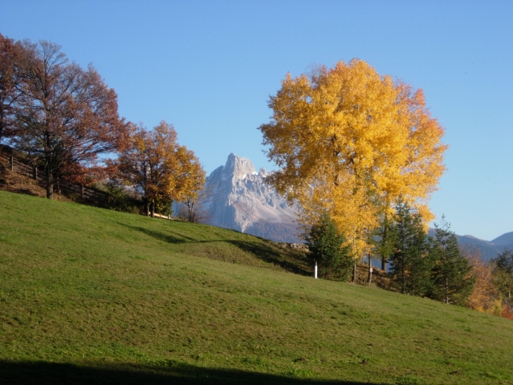 Luminoso novembre di morenocorti