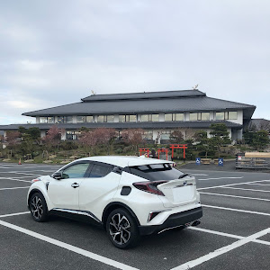 C-HR ZYX10