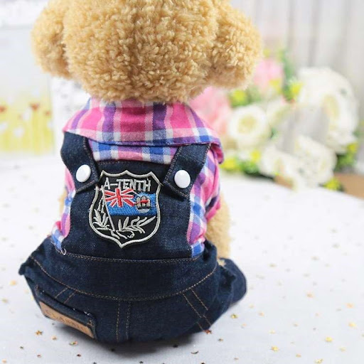 Title 7, Four-legged dog clothes for comfort and style. ...