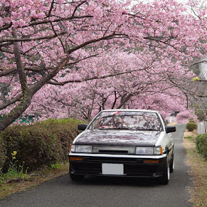 カローラレビン AE86