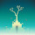 Linn: Path Of Orchards Wallpapers Game Theme