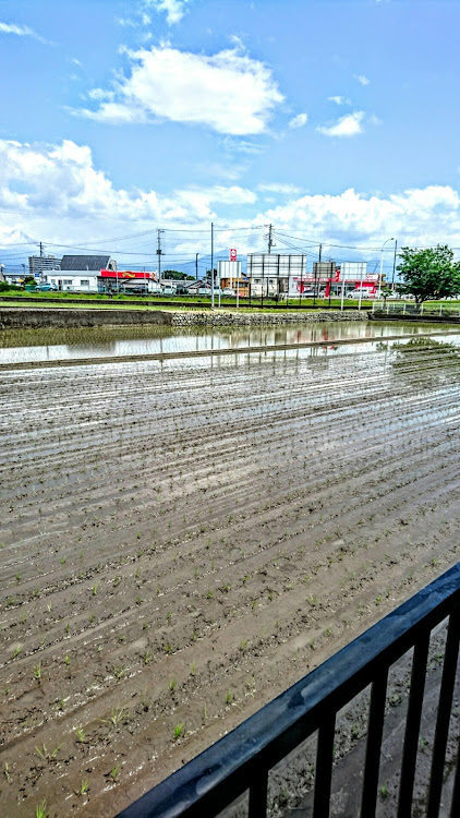 の投稿画像8枚目