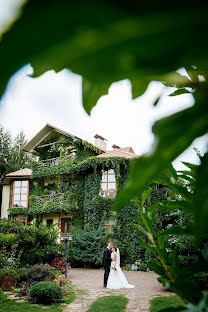 Wedding photographer Igor Stasienko (stasienko). Photo of 6 February 2020