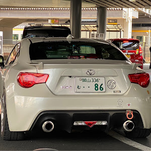 86 ZN6