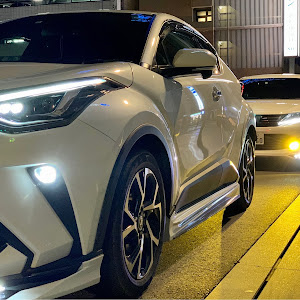 C-HR NGX10