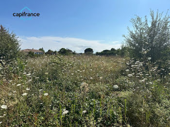 terrain à Bessières (31)