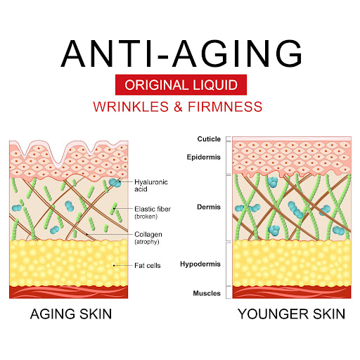Title 10, Water Bank Filling Anti-wrinkle Cream Moisturiz...