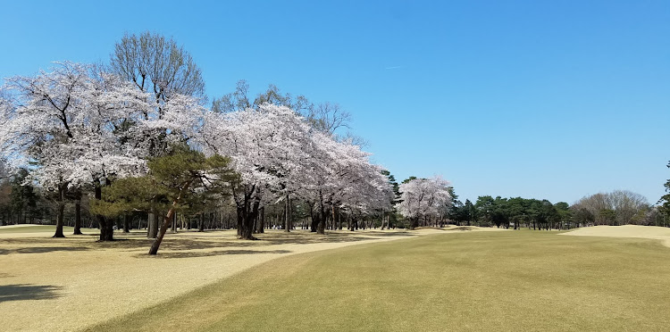 の投稿画像5枚目