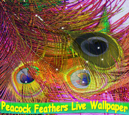 Peacock Feathers LiveWallpaper