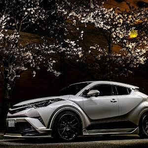 C-HR NGX50