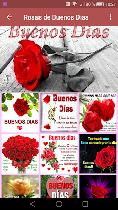 Rosas de Buenos Diasのおすすめ画像4