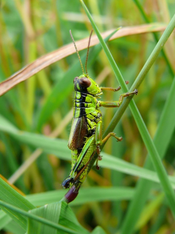 Fotogenia di fbweb62