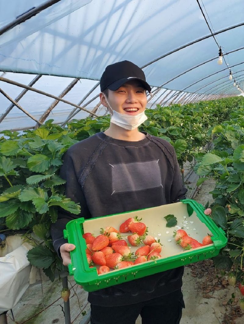 Suga in strawberry farm 