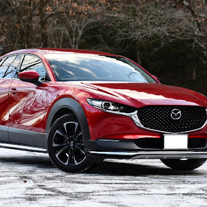 CX-30 DM8P