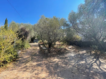 terrain à Toulon (83)