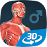 Human body (male) educational VR 3D1.23