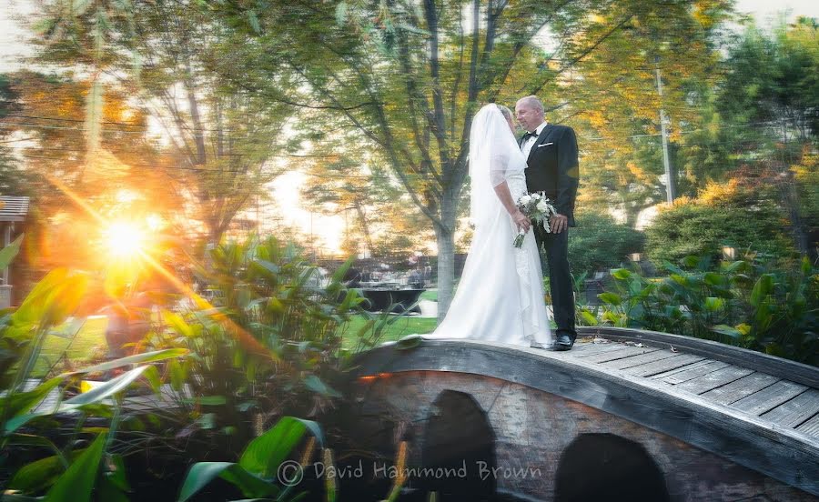 Fotografo di matrimoni David Hammond Brown (davidhammondbr). Foto del 31 dicembre 2019