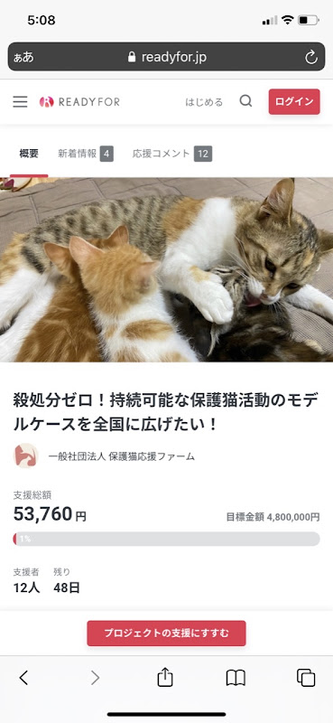 猫部トーク フェリシモ