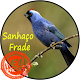 Download Canto Sanhaço Frade For PC Windows and Mac 1.0