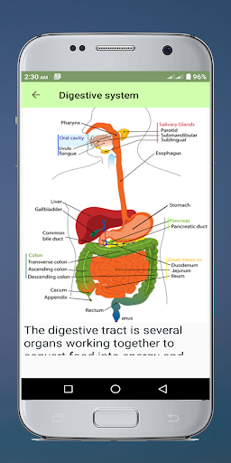 Human Anatomy Atlas Book