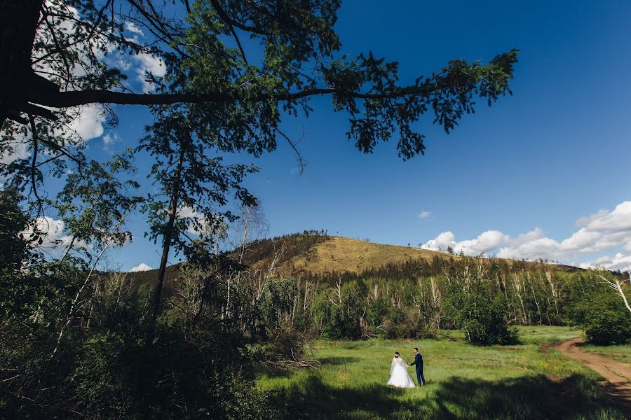 Wedding photographer Dmitriy Petryakov (dmitrypetryakov). Photo of 15 June 2017