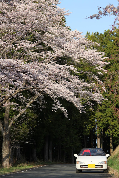 の投稿画像5枚目