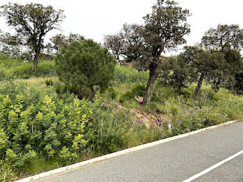 terrain à Sainte-Maxime (83)