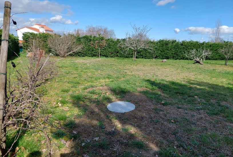  Vente Terrain + Maison - Terrain : 920m² - Maison : 120m² à Saint-Jean-Lherm (31380) 