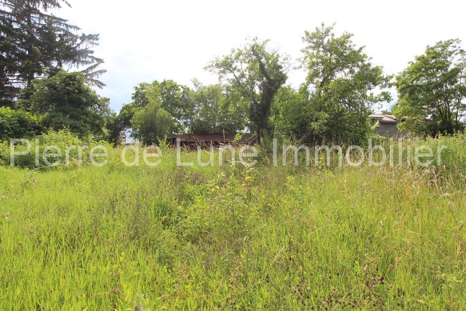 Vente terrain  3180 m² à Limonest (69760), 550 000 €