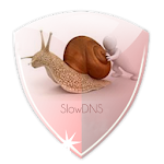 Cover Image of ダウンロード VPN over DNSトンネル：SlowDNS  APK