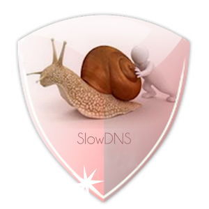 Slow Dns Vpn Logo HD